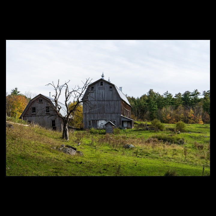 Rustic Barn